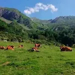 La Riguera De Ginio 公寓