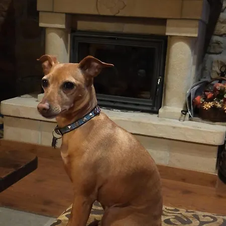 La Riguera De Ginio Apartment