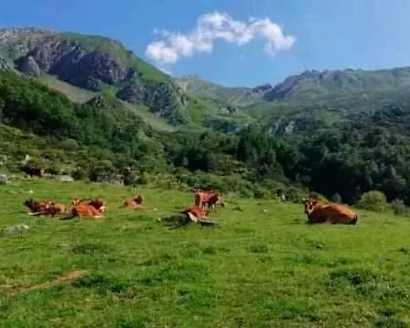 La Riguera De Ginio Apartment