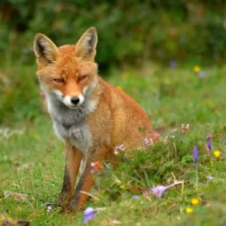 La Riguera De Ginio Ucieda