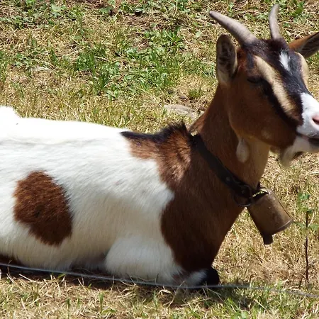 La Riguera De Ginio Apartment Ucieda