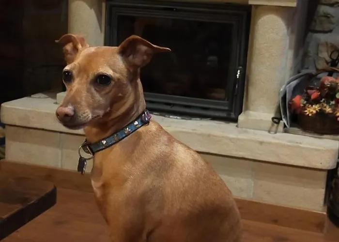 La Riguera De Ginio Apartment