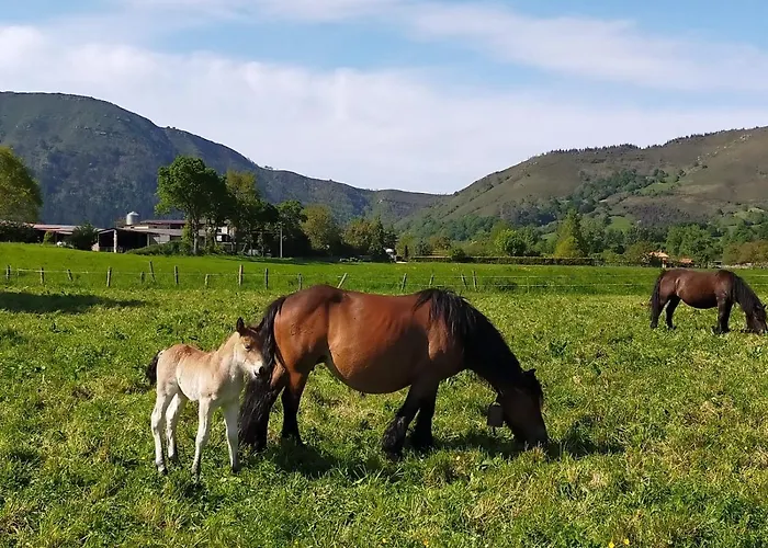 La Riguera De Ginio Apartment
