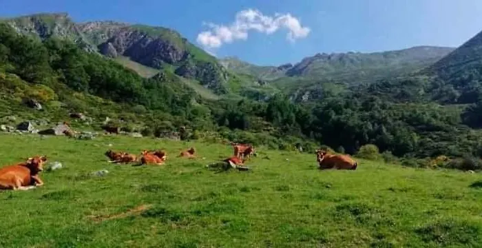 La Riguera De Ginio Apartment