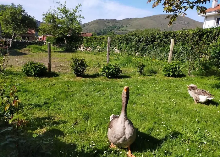 Apartment La Riguera De Ginio *