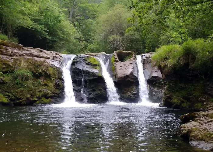 La Riguera De Ginio *