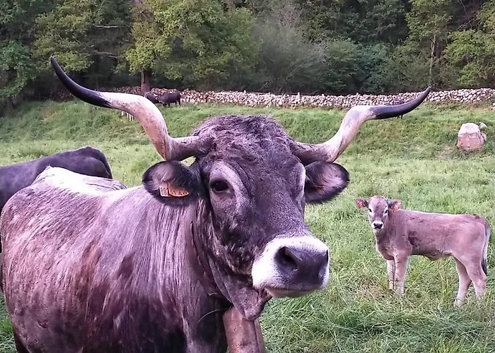 La Riguera De Ginio Apartment Ucieda