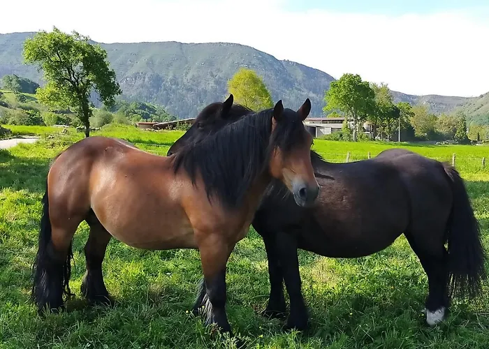 La Riguera De Ginio Apartment *