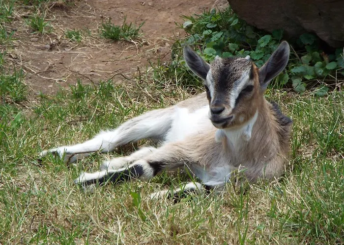 La Riguera De Ginio * Ucieda