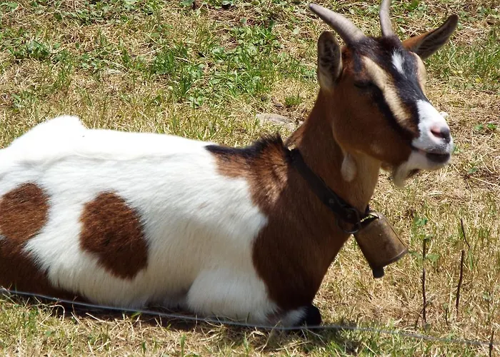 La Riguera De Ginio Apartment Ucieda