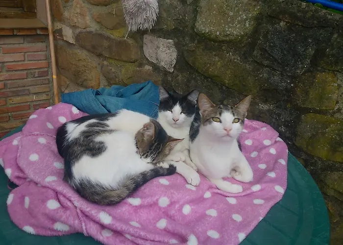 La Riguera De Ginio Ucieda